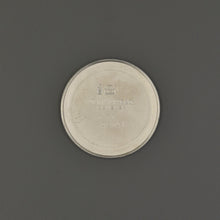 Load image into Gallery viewer, Patek Philippe Ellipse